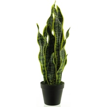 Sansevieria v květináči zlutá/zelená V51 cm