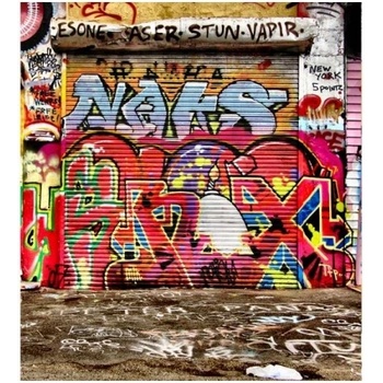 DIMEX ART s. r. o Флизелинов фототапет улица с графити 225 x 250 см