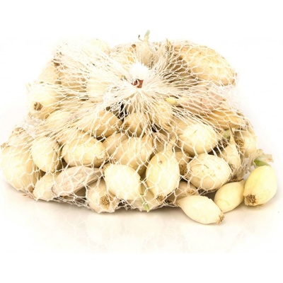 SimonSeed Cibuľa sadzačka White Globe 0,25kg
