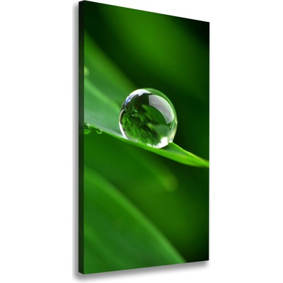 Vertikálny foto obraz canvas Steblo trávy 50x100 cm