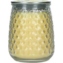 Greenleaf CITRON SOL 369 g