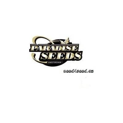 Paradise Seeds Auto Wappa semena neobsahují THC 3 ks