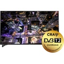 Panasonic TX-65DX900E