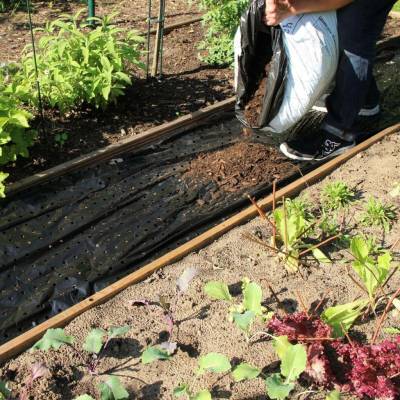 Videx Garden Mulčovací fólie proti plevelu 1000 x 150 cm černá