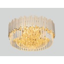 MaxLight C0165