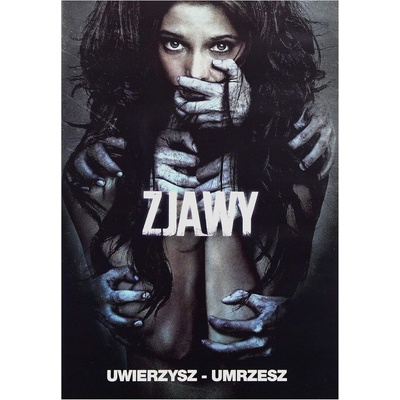 Zjevení DVD