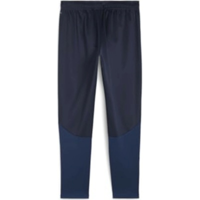 Puma teamGOAL Training pant 658639-06