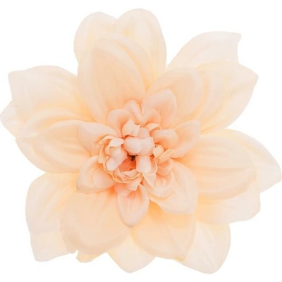 HLAVA DAHLIA 14CM BAL.12KS BROSK.