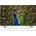LG 60UF778V