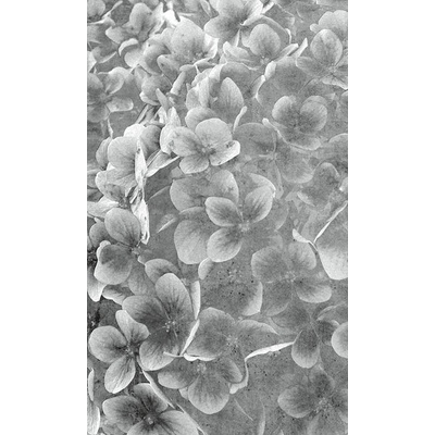 DIMEX MS-2-0356 vliesová fototapeta 150 x 250 cm