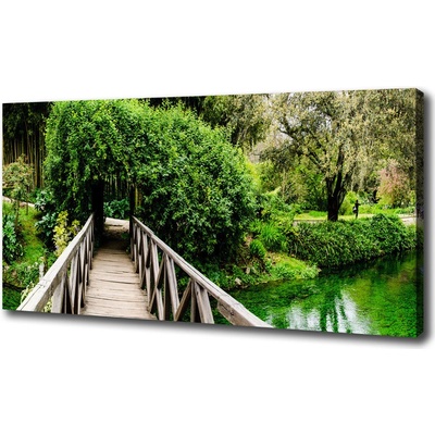 Foto obraz na plátne Most na rieke 100x50 cm
