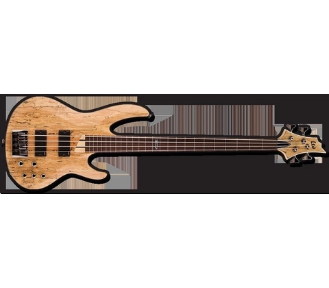 ESP-LTD B204SM FL