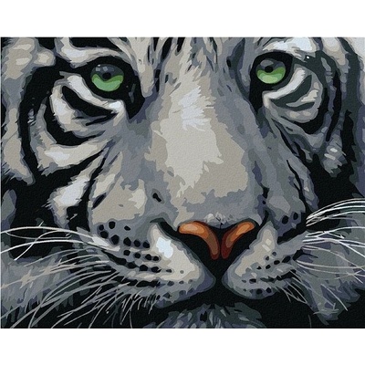 zuty malování podle čísel Hlava bílého tygra 100 x 80 cm vypnuté plátno na rám