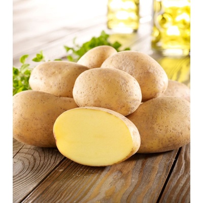 BIO Sadbové brambory Gunda - Solanum tuberosum - Kiepenkerl - bio sadba - 10 ks