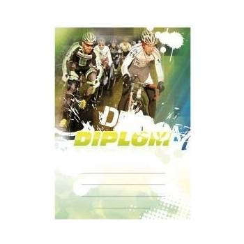 Diplom 6641