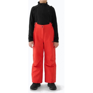 4F Детски скиорски панталони 4F Fnk M0949 red