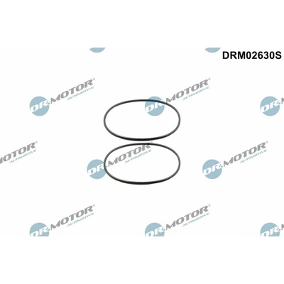 Sada těsnění, náboj kola Dr.Motor Automotive DRM02630S