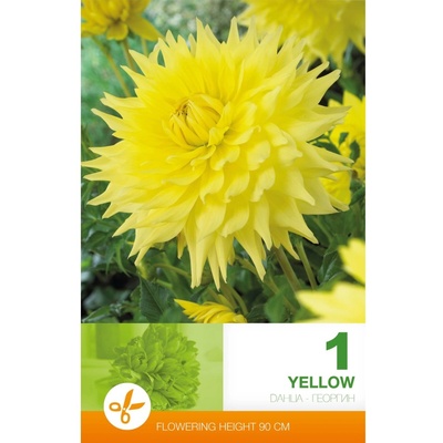 Seklos Далия (Гергина) Жълта - 1 бр луковицa