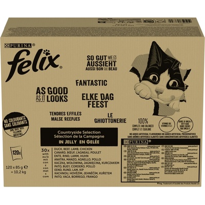 PURINA Felix Countryside Selection Box 120 x 85 g