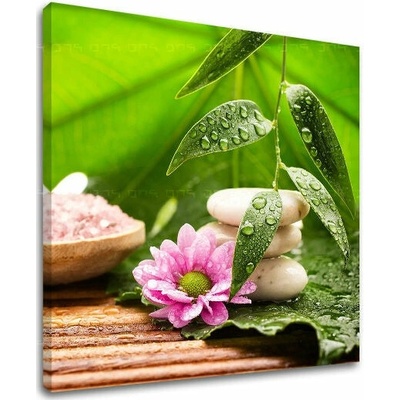 Obraz na stenu FENG SHUI - 30x30 cm