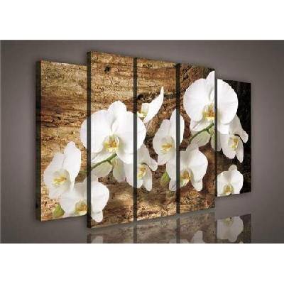 Obraz na plátně orchidej na dřevě 414S12, rozměr 150 x 100 cm, IMPOL TRADE