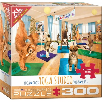 EUROGRAPHICS Jóga studio XL 300 dílků