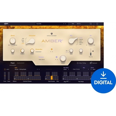UJAM Amber 2 Digitální produkt
