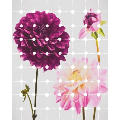 Komar Vliesová fototapeta Flowers & Dots rozměry 200 x 250 cm
