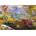 Educa - Puzzle Hot Air Ballon Valley - 3 000 piese