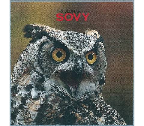 Sovy - Jiří Bednář