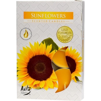 Bispol Aura Sunflowers 6 ks