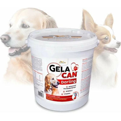 Orling Gelacan Darling 5 kg