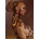 Norimpex - Puzzle Diamant painting: Woman with a bun 30x40cm - 1 - 39 piese