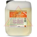 PRO-TEC DPF Flushing Liquid 5 l