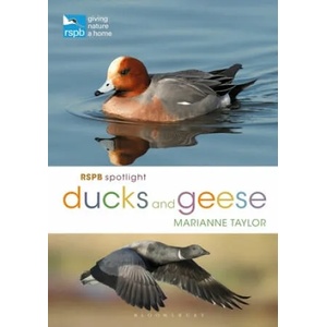 RSPB Spotlight Ducks and Geese | Marianne Taylor (ISBN: 9781472971647)