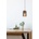 Toolight APP1810-1CP