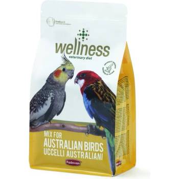 Padovan Wellness Patee for Parakeets - жълто пастончино с яйца за средни папагали 600 гр