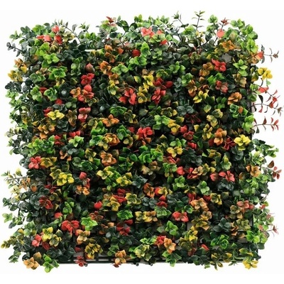 Leucadendron multicolor, dielec 50 x 50 cm