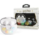 Image 1 of Lazerbuilt Harry Potter Potter (HF101107)