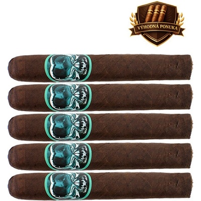 Asylum Schizo Maduro Robusto 5 ks