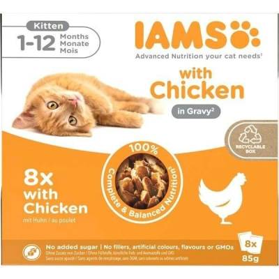 IAMS DELIGHTS Kitten in Gravy box 8x85 g