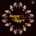 SAUN & STARR: LOOK CLOSER CD