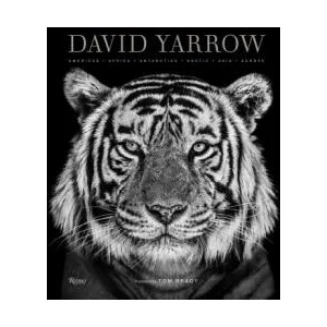 David Yarrow Photography | David Yarrow, Tom Brady (ISBN: 9780847864775)