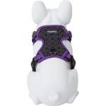 Freedog Boreal Harness Medium - Регулируем нагръдник за кучета с вратна обиколка от 38 см до 59 см и гръдна 38 см до 75 см. /20 мм - лилав