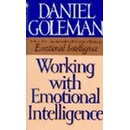 Working with Emotional Intelligence