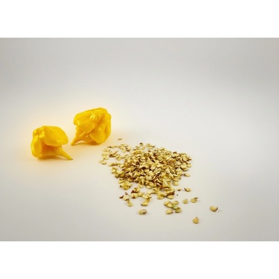 Carolina Reaper Yellow semienka 10 ks