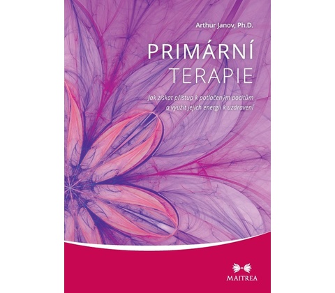 Primární terapie