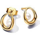 Pandora 263295C01