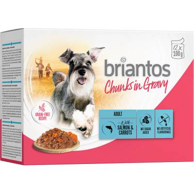 Briantos Chunks in Gravy losos s mrkví 48 x 100 g