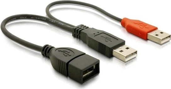 Delock 65306